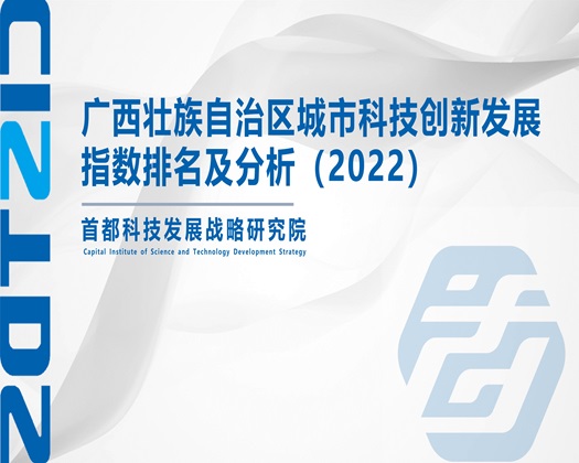 黄艹逼【成果发布】广西壮族自治区城市科技创新发展指数排名及分析（2022）